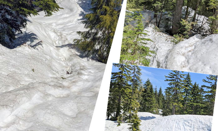 移動途中のトレイル　写真3枚