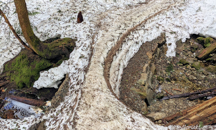 残雪の平均台状態のトレイル
