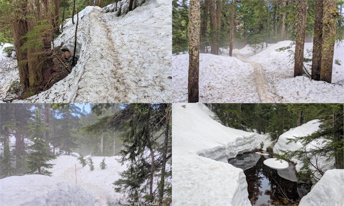 ドッグマウンテン途中のファーストレイクを含むトレイル写真　４枚