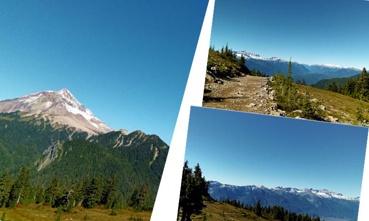 ダイアモンドヘッドやゴツゴツの山々と緑を見ながらのトレイル画像