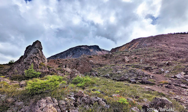 片道約 1.5km の火山噴出物トレイルの始まり