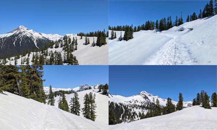 途中のトレイル　写真４枚