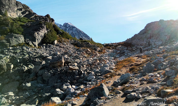 出発してからトレイルの様子とTaylor Meadow Junction の景色