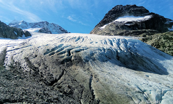 蛾の大量発生　に伴い床の上に落ち葉と思えるほどの蛾がいた画像