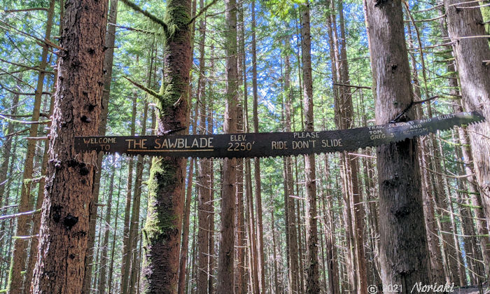 ソーブレイドトレイルの途中にある大きなのこぎり