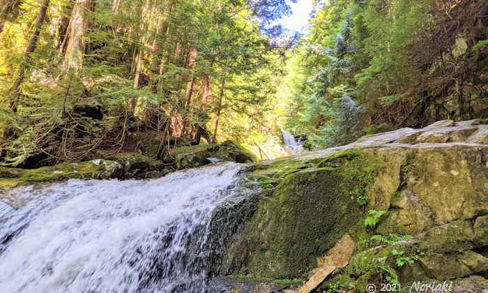 ウッドランド滝の景色
