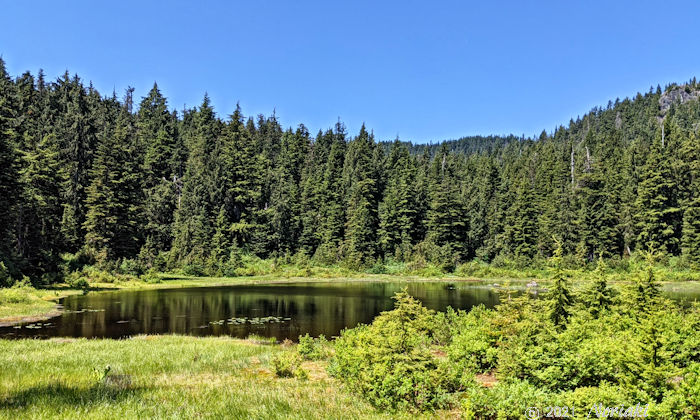 ソーブレイドトレイルの途中にある大きなのこぎり