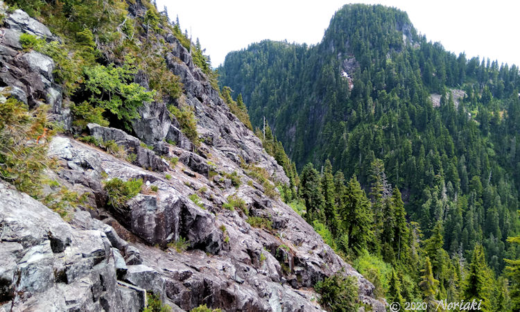 写真中央下から上にトレイルがある急勾配の斜面