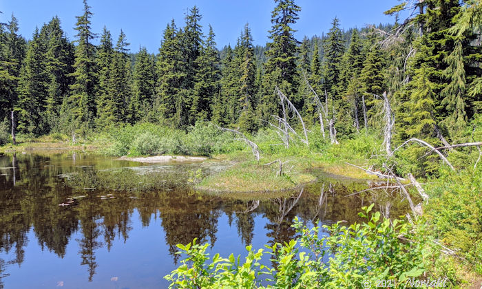 ウッドランド滝の景色