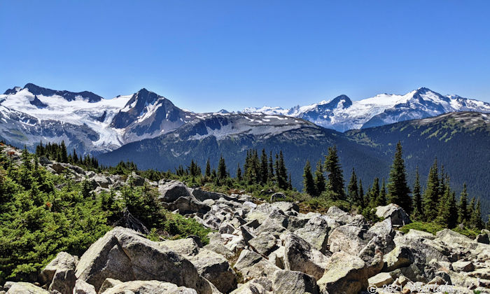 左オーバーロード氷河、右チェカマス氷河の景色