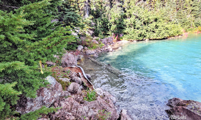 ほぼ水没状態の湖畔トレイル