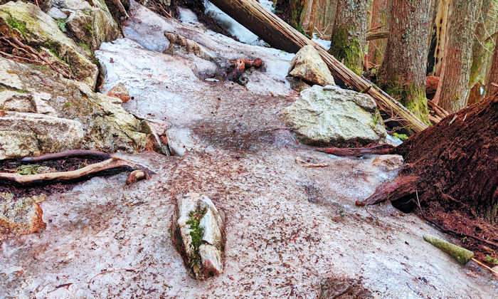 氷状態の滑るBCMCトレイル