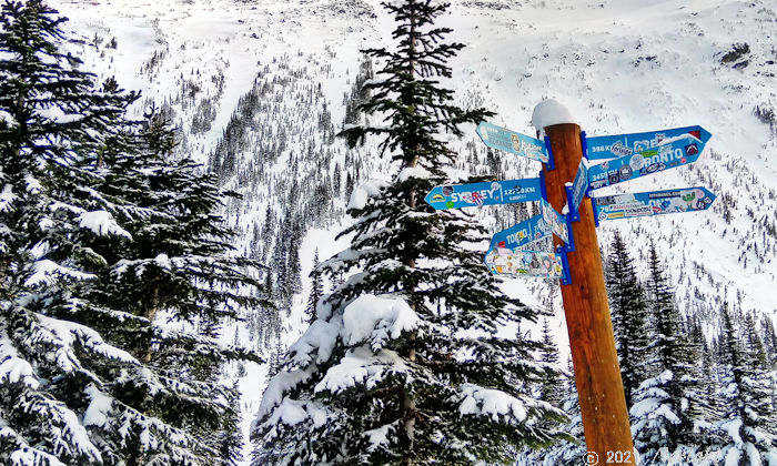 ステッカーが数多く張られた状態の画像