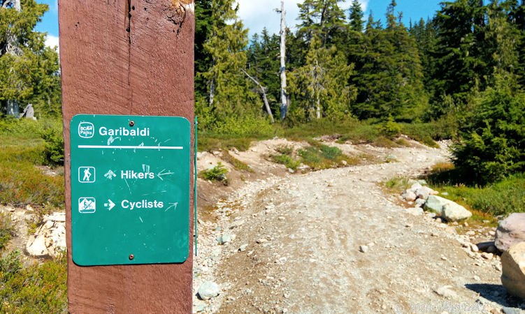 エルフィンレイクトレイル 分かり難い分かれ道の標識