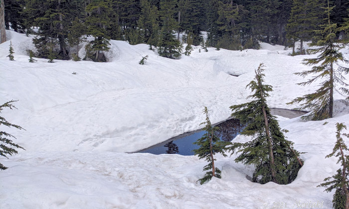 ファーストレイク