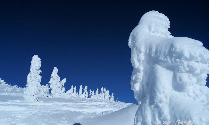 樹氷状態の画像