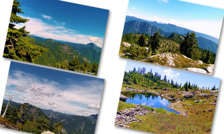 Goat Ridge からの景色と途中の小池