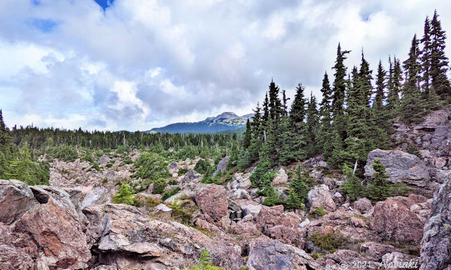 岩石の流れの景色