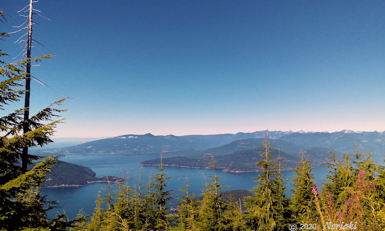 Bowen Lookout ボーエンルックアウトからの景色